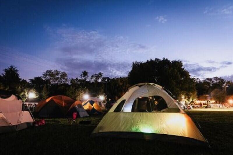 Sleep Next to Lions? Nashville Zoo’s Wild Night!