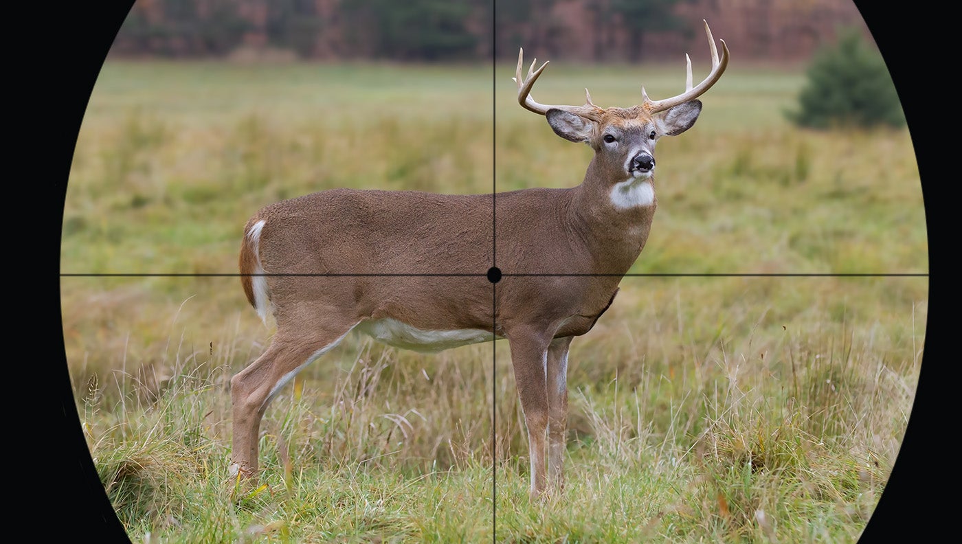 old school hunters got shot placement right