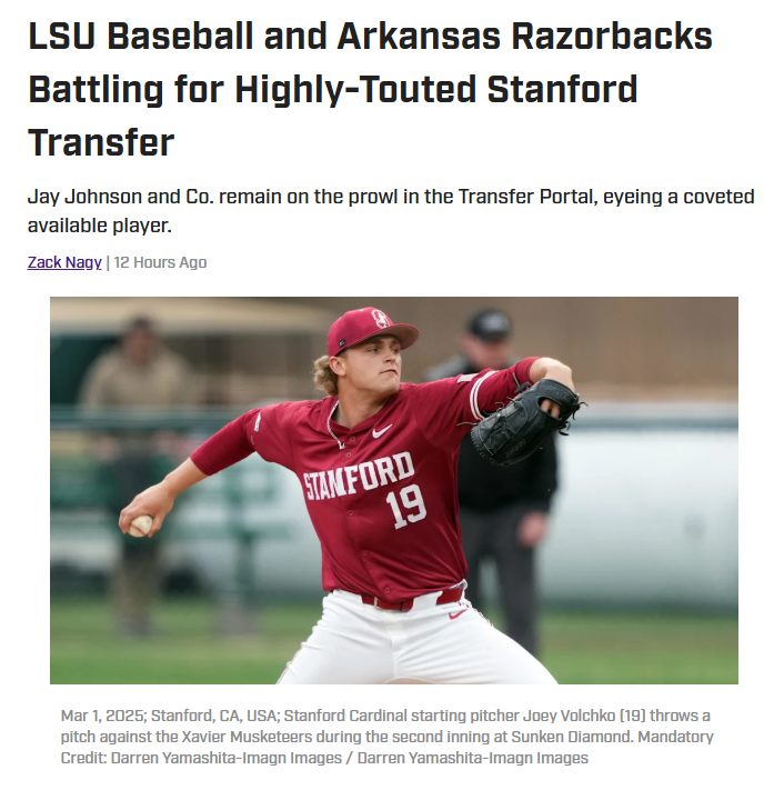 Tigers vs. Hogs: Volchko Transfer Showdown