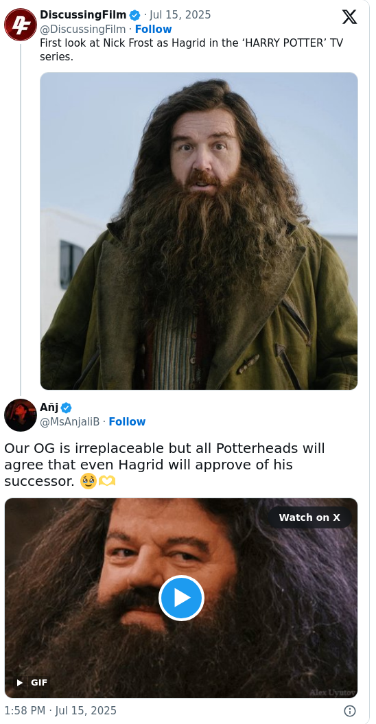 Nick Frost as Hagrid: Fandom Split! 🧙‍♂️