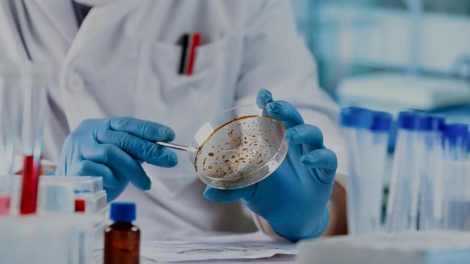 Fungal Infections Are on the Rise—Here’s Why