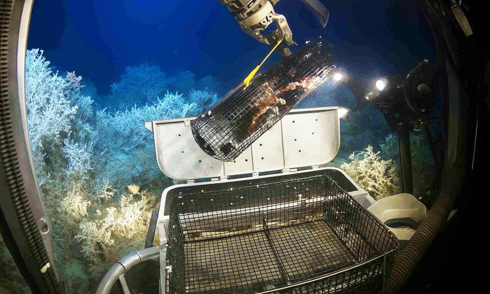 Radioactive Surprise Found Deep in the Pacific