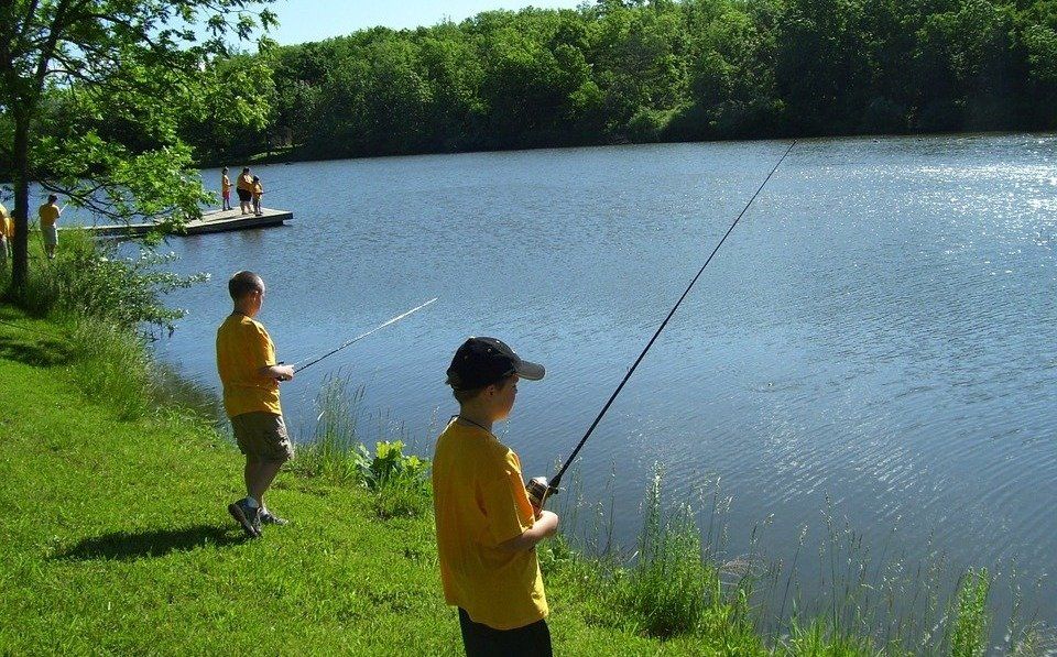 Why does everyone say summer bass fishing sucks? 🤔