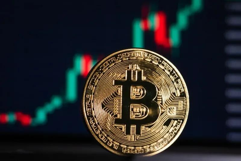 Are You Team Stocks or Team Crypto?