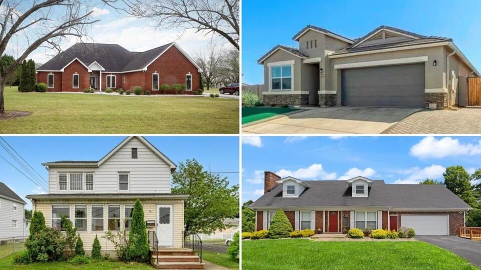 Would You Buy a $1 House?