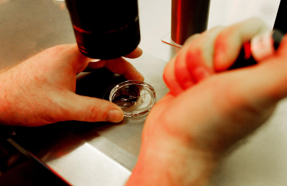 Babies Born With DNA From 3 People?!