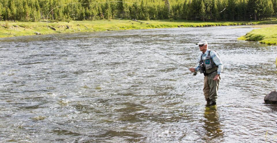 Yellowstone Shuts Down Fishing Hotspots