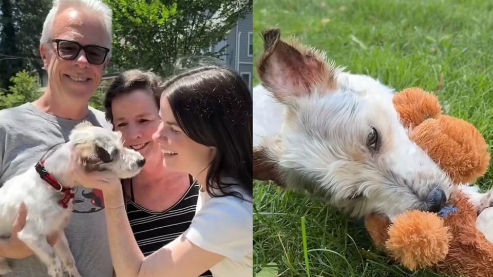 Foster Pup Finds His Forever Fam—Plot Twist!