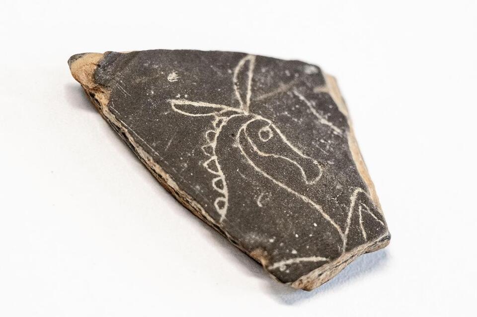 Ancient Celtic 'Gold Rush' in Czech Fields!
