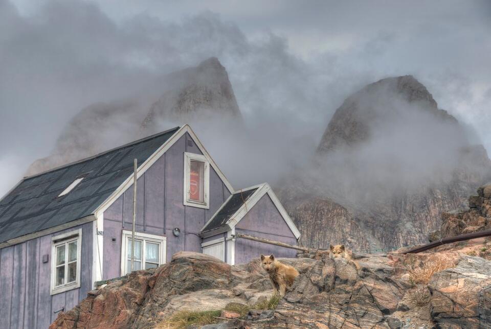 Greenland Sled Dogs Just Changed History