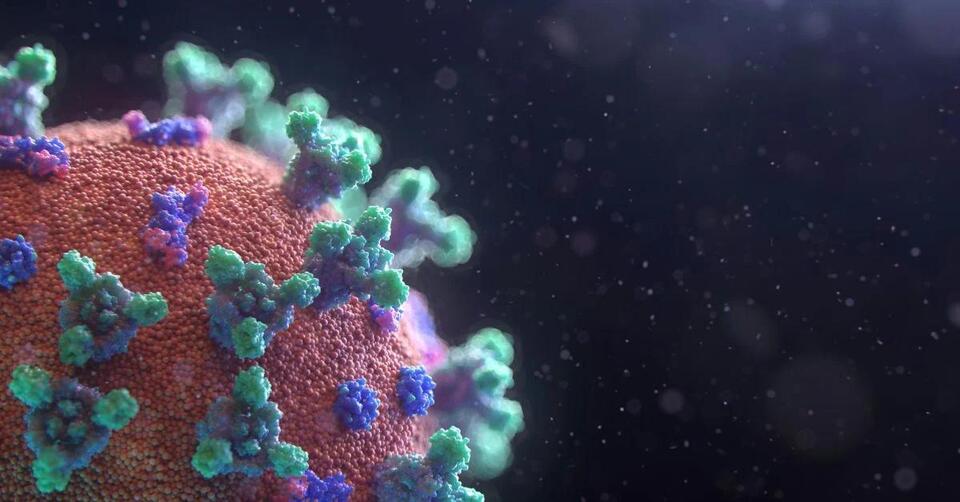 This Microbe Breaks All the Rules