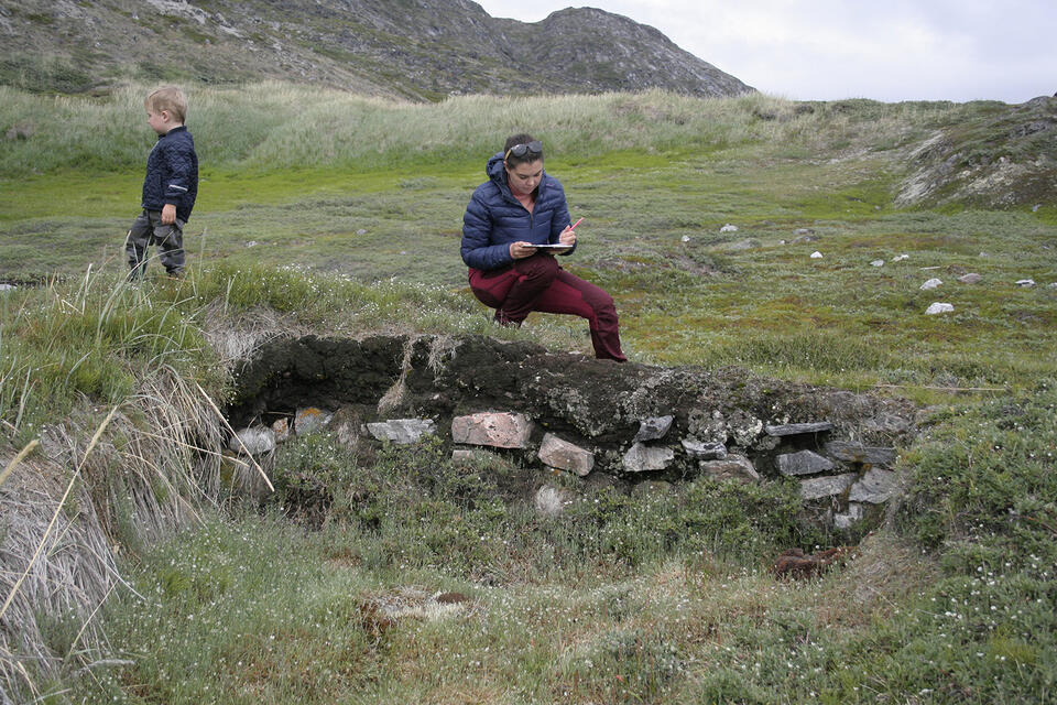 Greenland Sled Dogs Just Changed History
