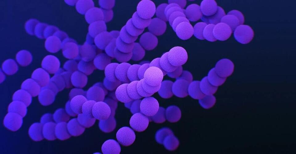 This Microbe Breaks All the Rules