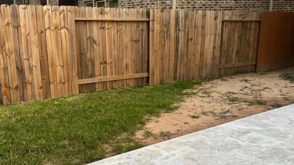 Backyard Turf Drama: Reddit Has Thoughts