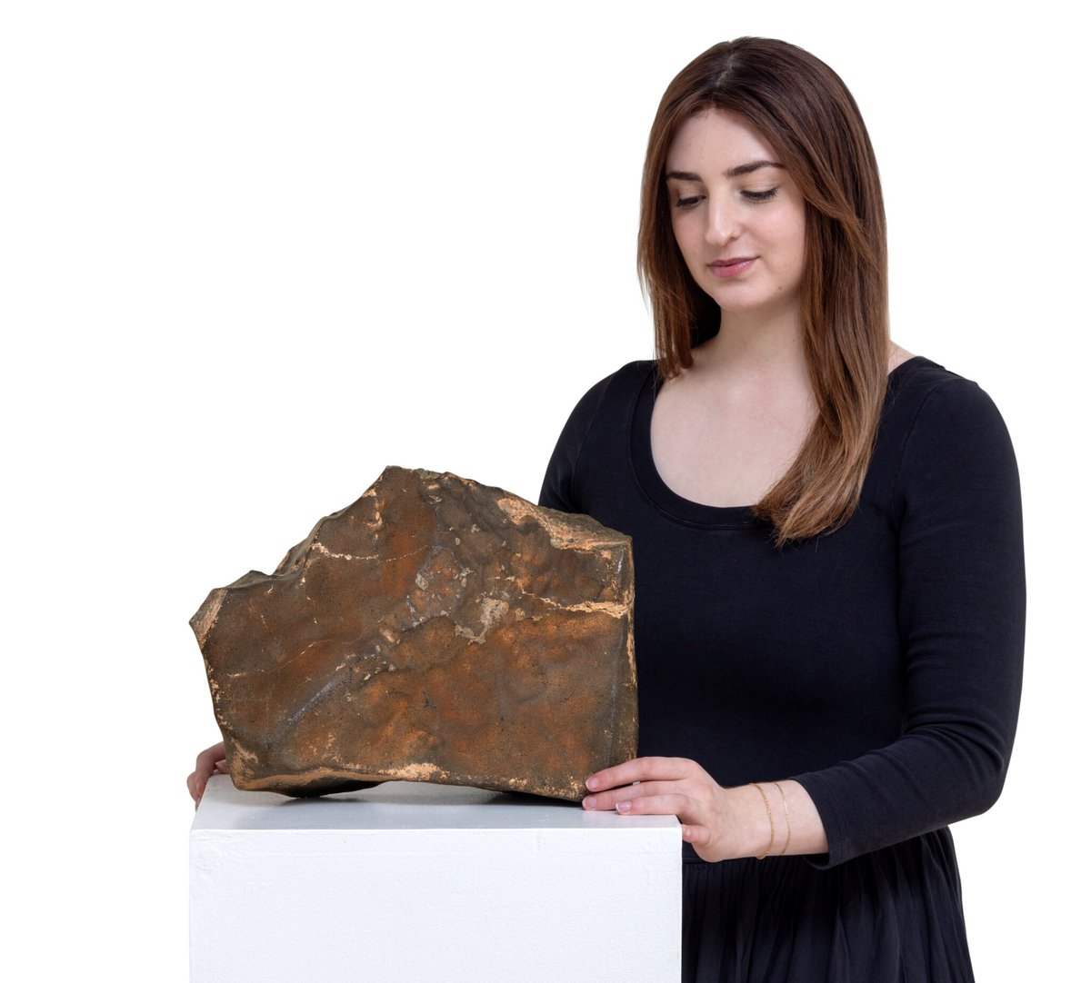 Mars Rock Sells for a Wild $5.3 Million!