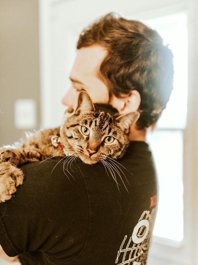 Cat’s Secret Schedule: 7 Attention Alerts
