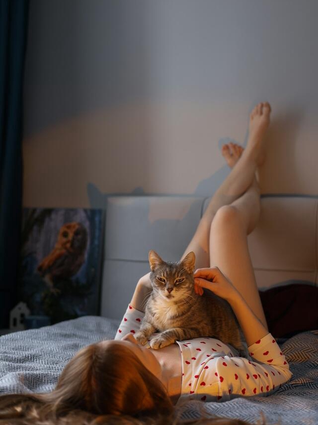Cat’s Secret Schedule: 7 Attention Alerts