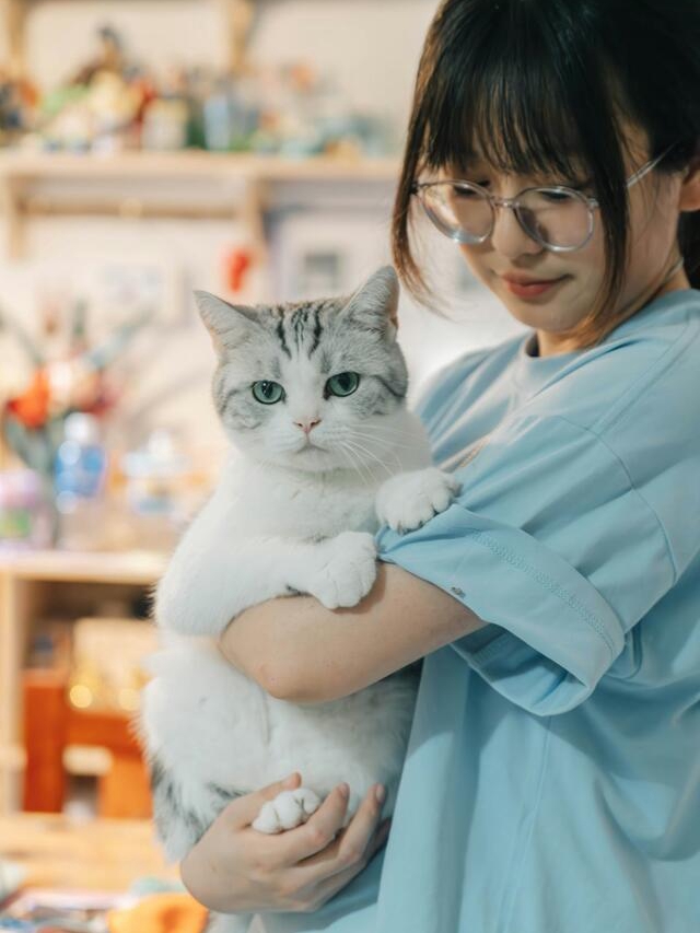 Cat’s Secret Schedule: 7 Attention Alerts