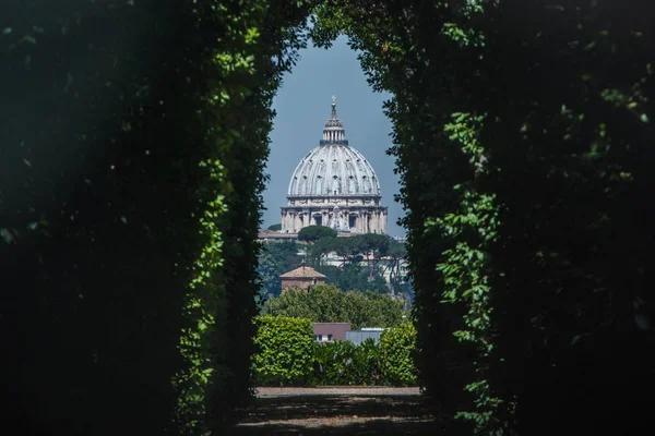 Rome’s Secret Photo Spots Exposed! 📸