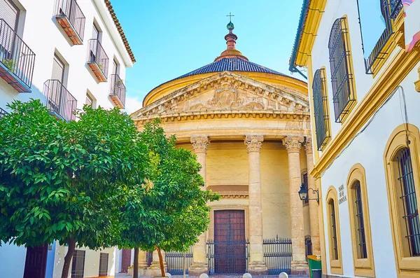 Rome’s Secret Photo Spots Exposed! 📸