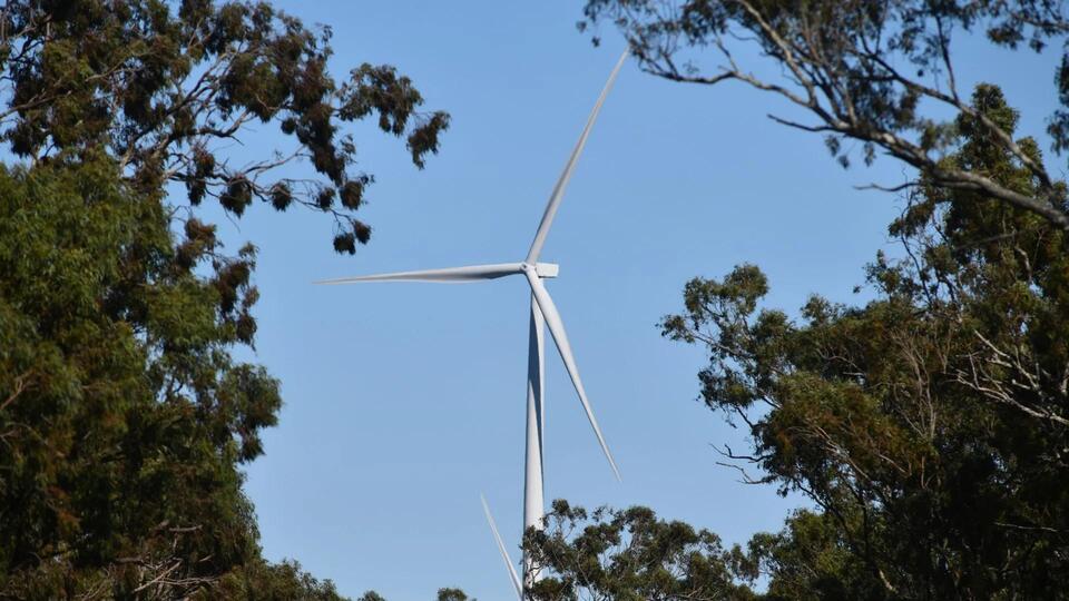 Wind Turbines: No Headaches, Just Clean Air
