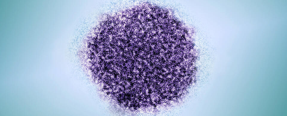 Viruses Hiding in Brain Lining?!