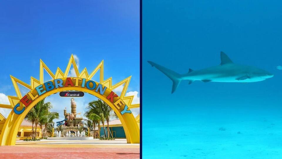 Shark Scare at Carnival’s New Island?