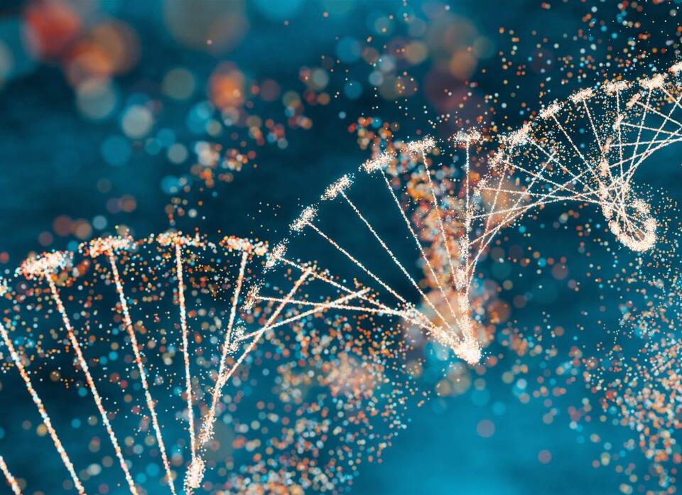 Junk DNA’s Secret Superpower Revealed