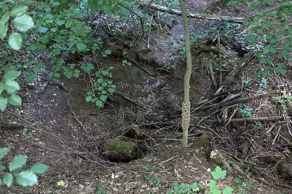 America’s Deepest Sinkhole Uncovered!