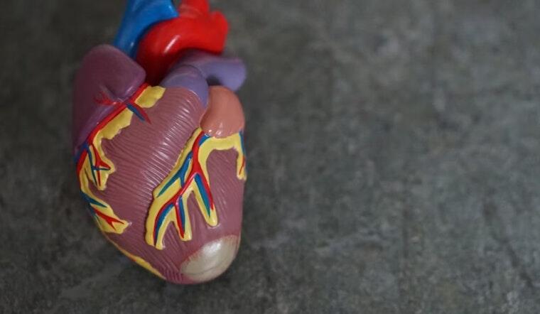 $2.6M Grant to Tackle Hidden Heart Risk