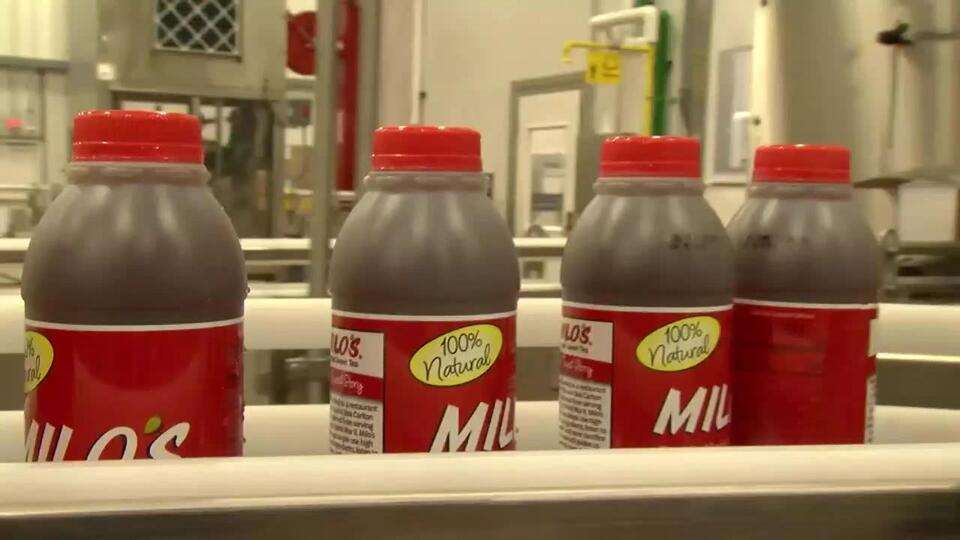 Milo’s Swaps Tea for Relief Water!