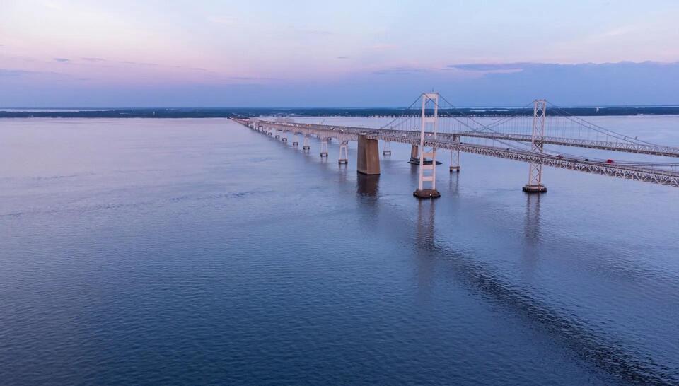 Chesapeake Bay Fish Drama 🐟