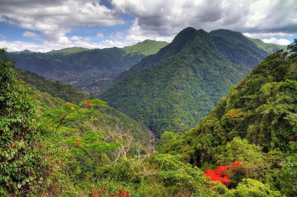 Puerto Rico’s Secret Green Getaways
