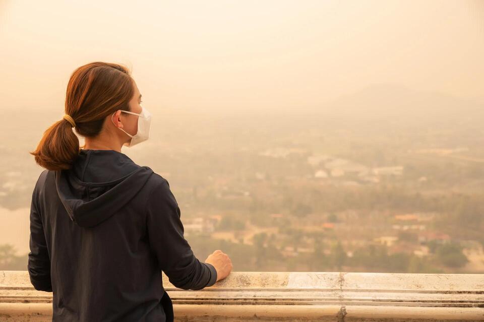 Air Pollution’s Hidden Danger Exposed