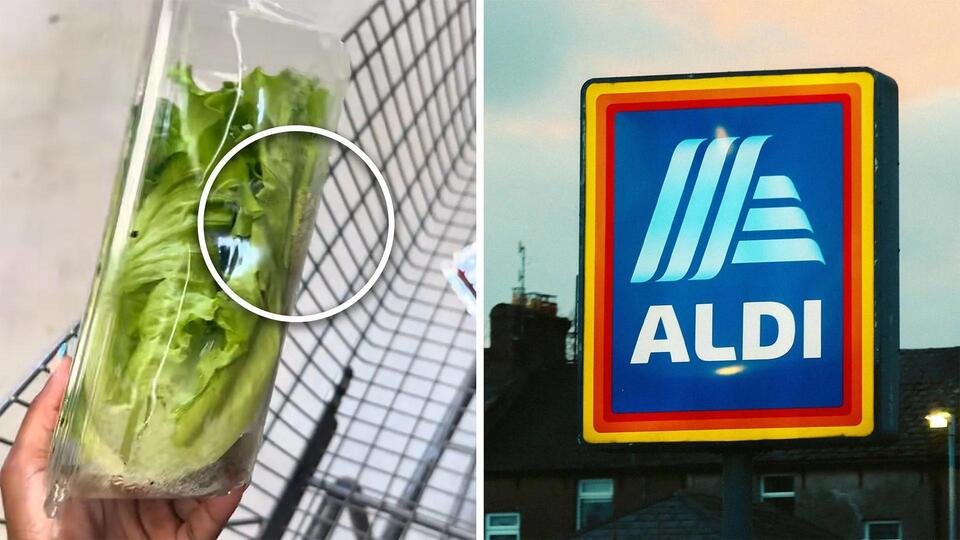 Frog in My Lettuce?! Only at Aldi 😂