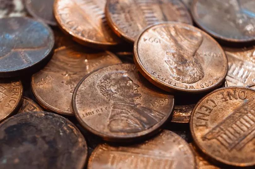 Why You Should Toss Pennies in Your Birdbath