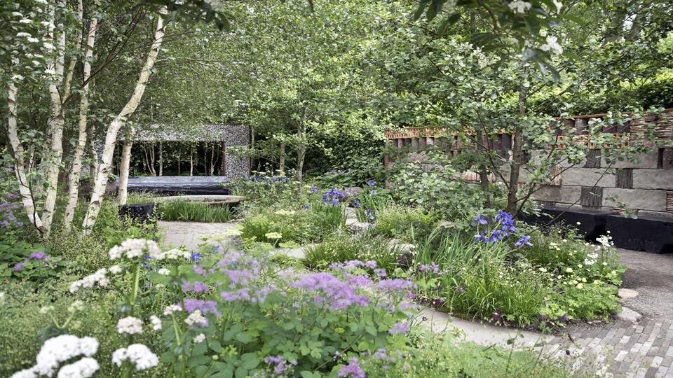 7 Plants That Thrive on Neglect