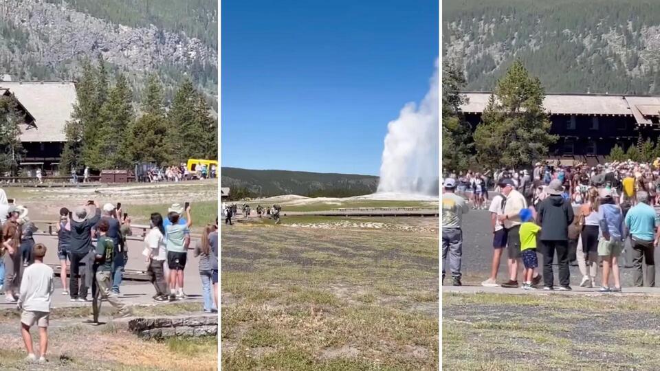 Yellowstone or Disneyland? You Decide
