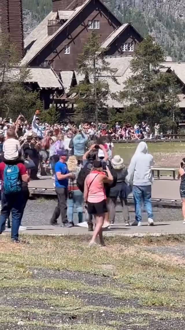 Yellowstone or Disneyland? You Decide