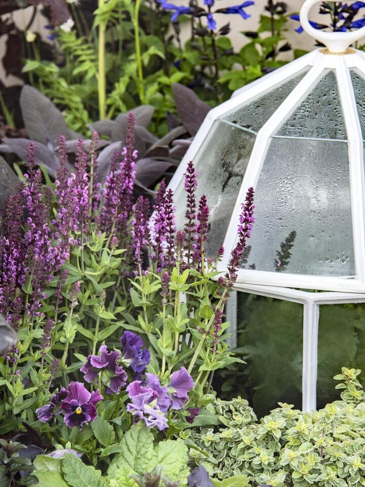 7 Plants That Thrive on Neglect