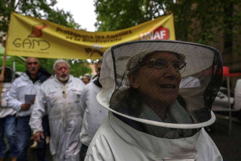 French Bees vs. Pesticides: Who Wins?
