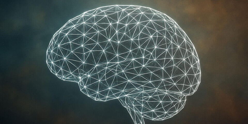 Your Brain Wiring Could Explain Rule-Breaking