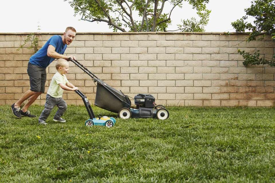 This Costco Hack Gave Me the Best Lawn Ever