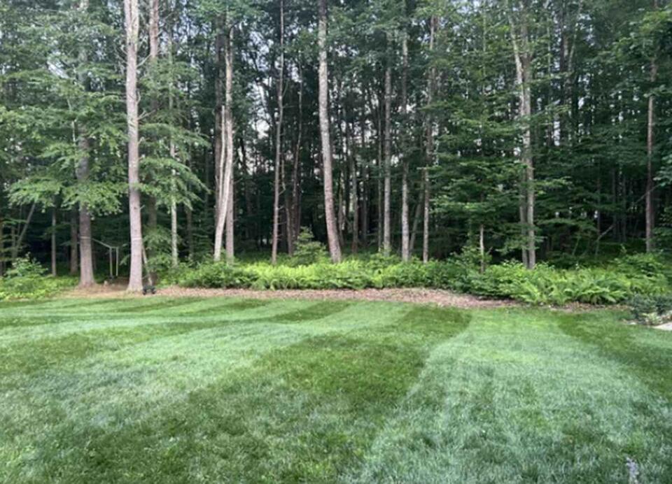 This Costco Hack Gave Me the Best Lawn Ever