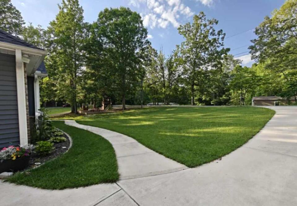 This Costco Hack Gave Me the Best Lawn Ever