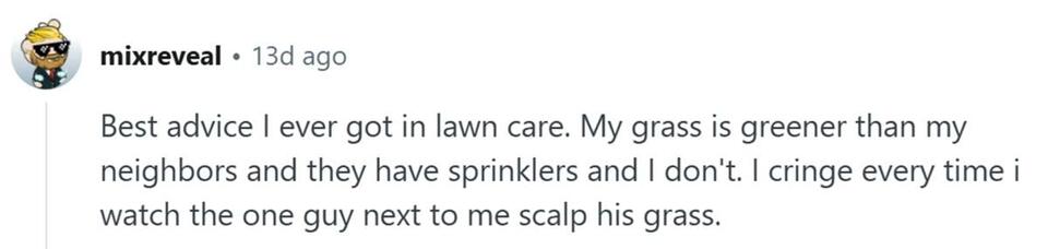 This Costco Hack Gave Me the Best Lawn Ever