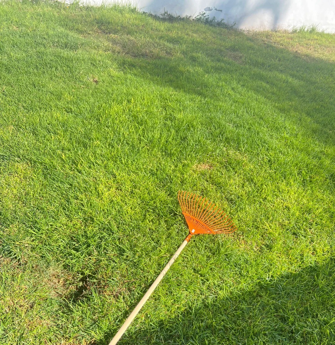 Since buying this lawn wonder 