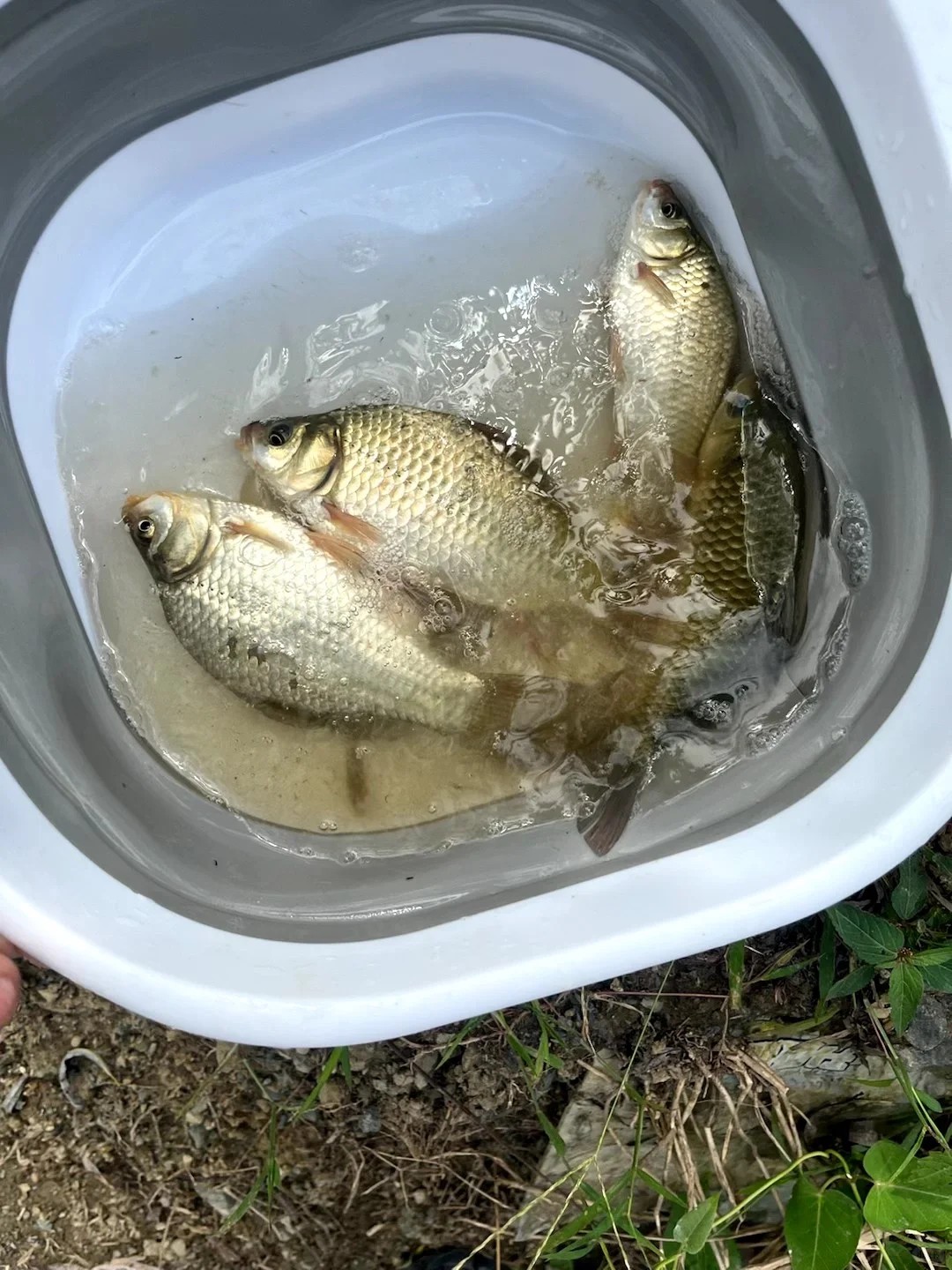 Fishing doesn't have to break the bank