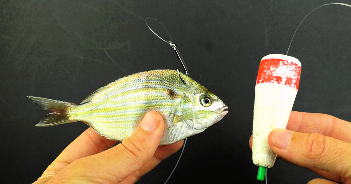 Lost a monster bass? 3 gear checks I now ALWAYS do