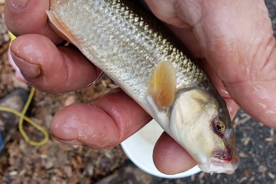 when the fish won't bite, catch the bait 😁